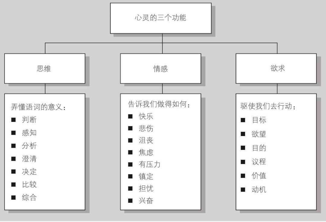 白色周四 思辨与立场 思维有6个层级 你在哪一级 思考