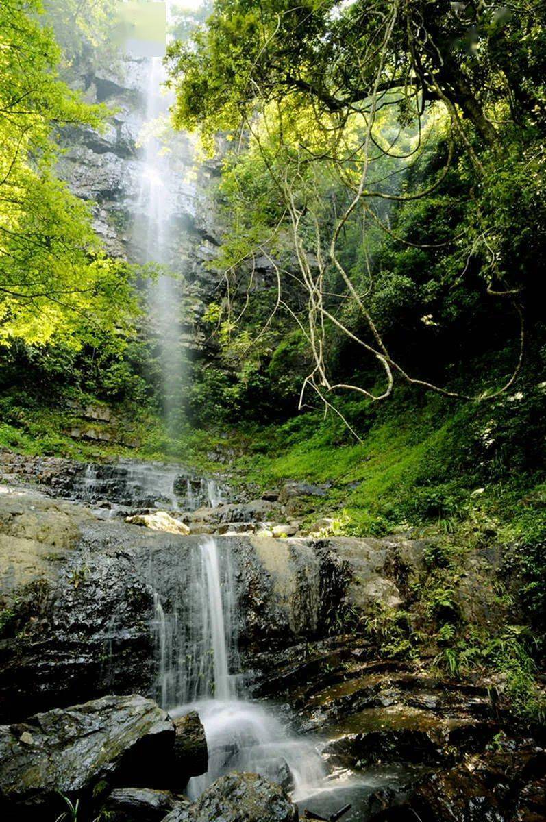 江华gdp_江华年轻图片(3)