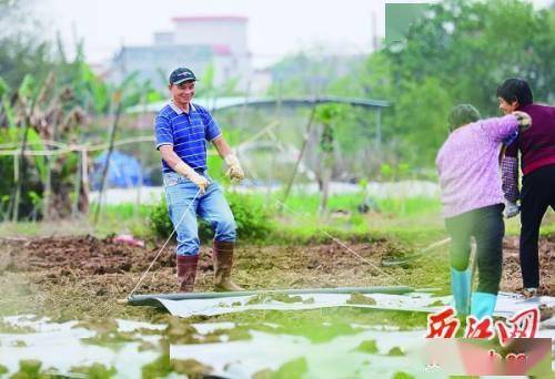 高要区白土镇人口普查_高要区第一小学