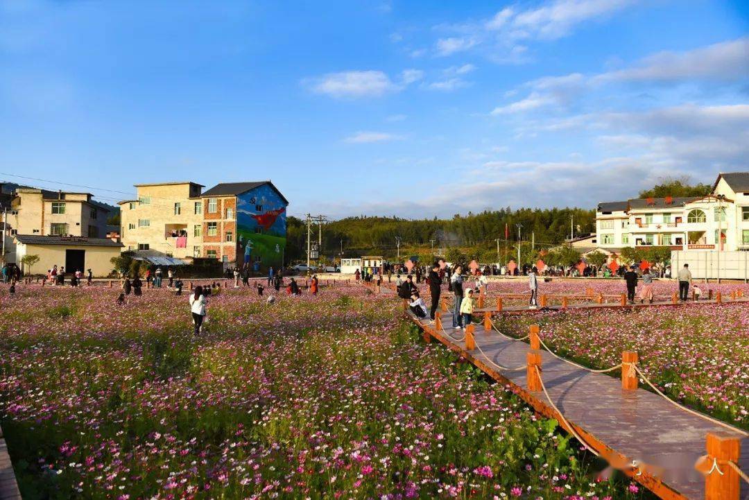 宁化济村GDp_宁化湖村松涛公园