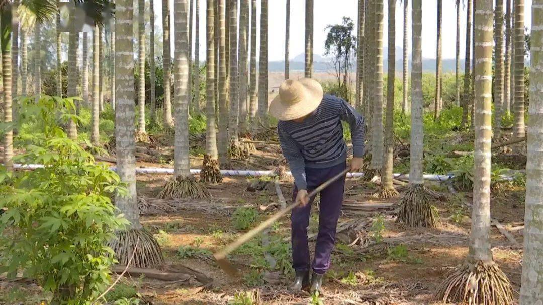 安仁县有多少人口_安仁县地图(3)