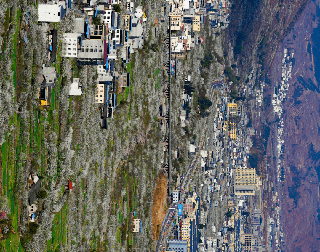 雅安市雨城区人口普查_雅安市雨城区强项校服