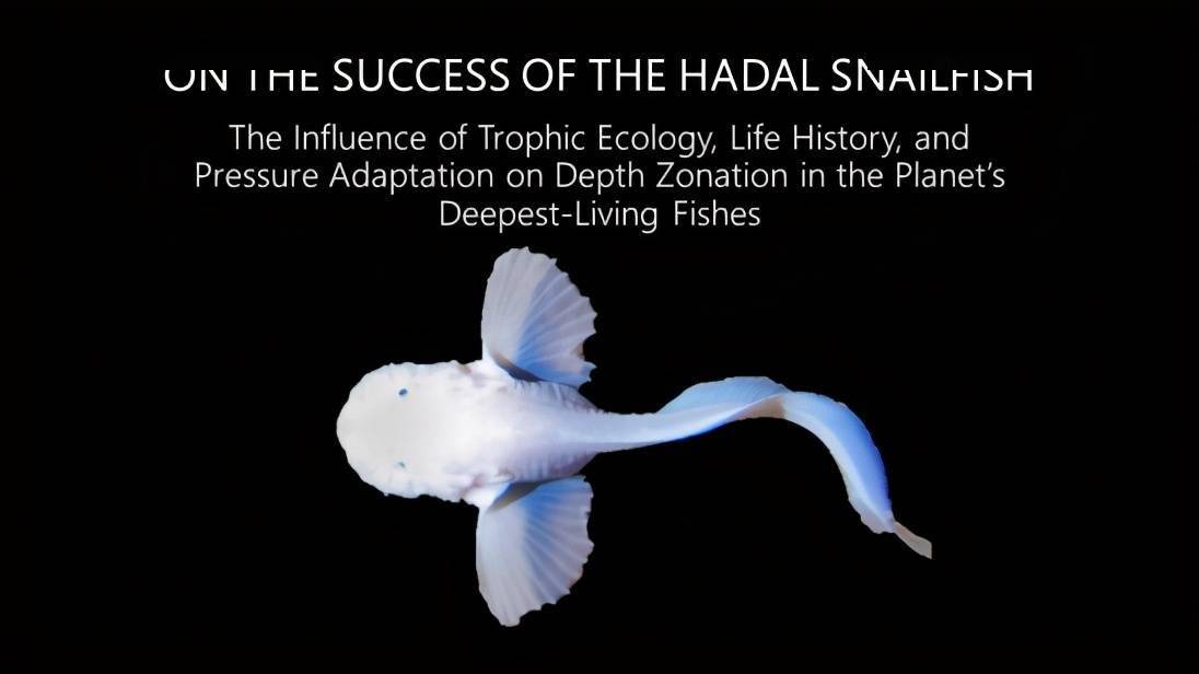 设计开发的这款软体机器人,灵感则是来自钝口拟狮子鱼(pseudoliparis