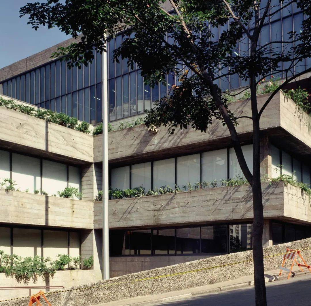 圣保罗艺术博物馆：巴西现代建筑、展陈与意识先锋_丽娜·博·巴蒂