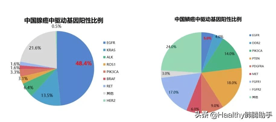 核酸检测可以拉动gdp吗_核酸采样过程中是否会造成交叉感染 一文了解核酸检测那些事儿(2)