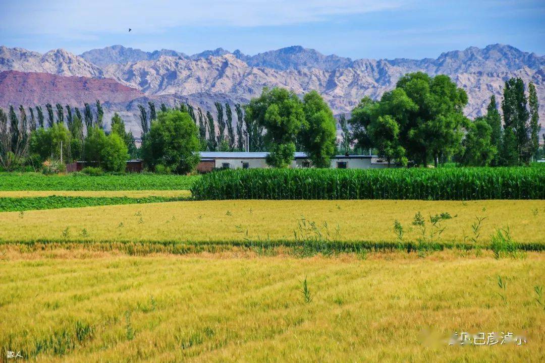 你们看,巴彦淖尔多美啊