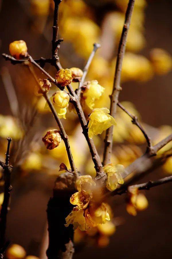 影像中国摄影网各群优秀作品展示2021年2月份2群21群优秀作品