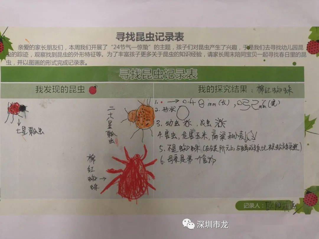 龙城:微雨众卉新,一雷惊蛰始_昆虫