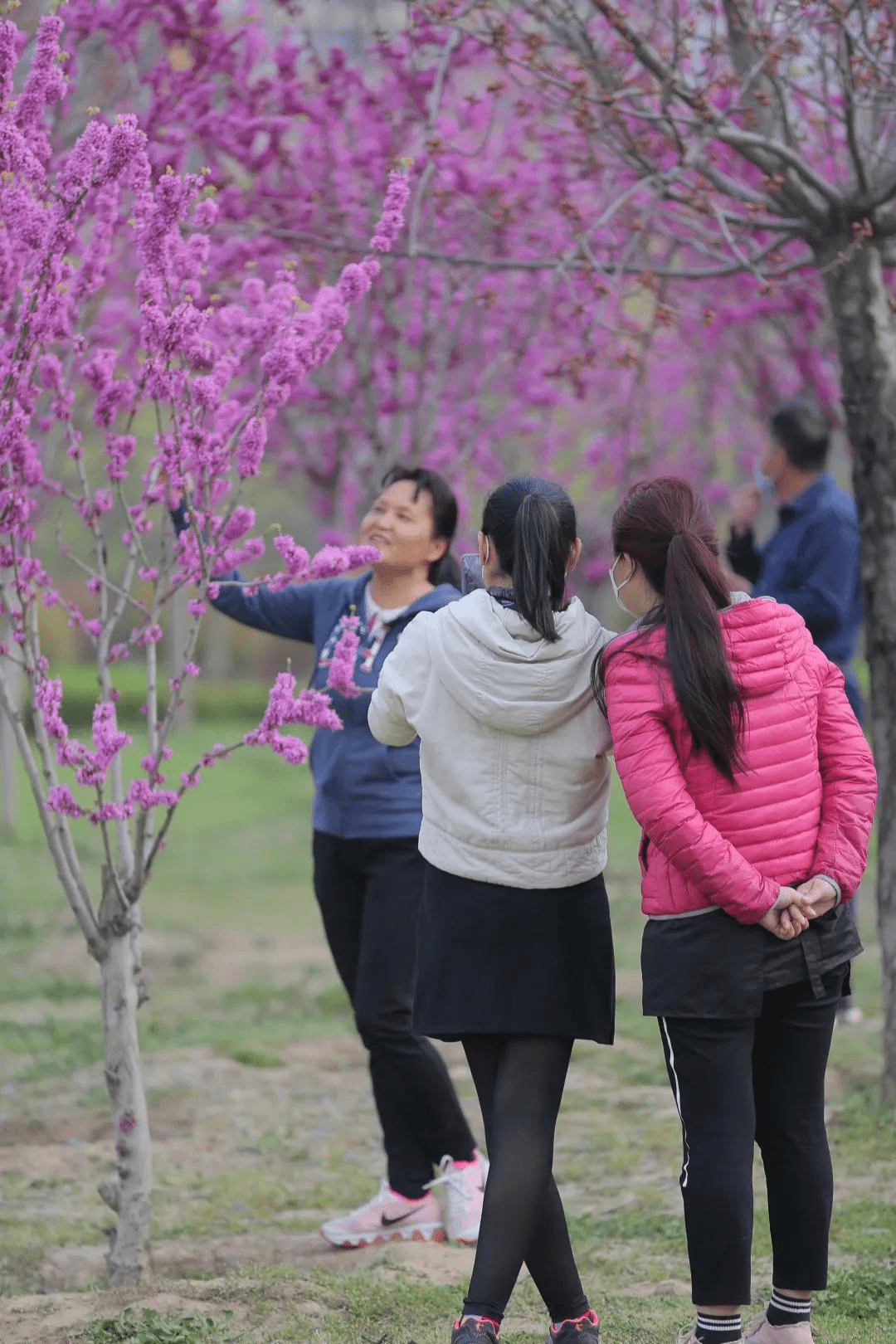 观花简谱_下楼二人转谱 王美蓉观花 唱段 戏曲曲谱 中国曲谱网(3)