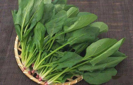 什么菜用白胡椒 bafef51564e54425a95a21afe013de39.jpeg