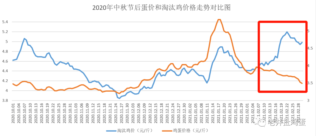老井扯鸡蛋:春节淘鸡涨,蛋价跌,蛋鸡大行情的序曲?_走势