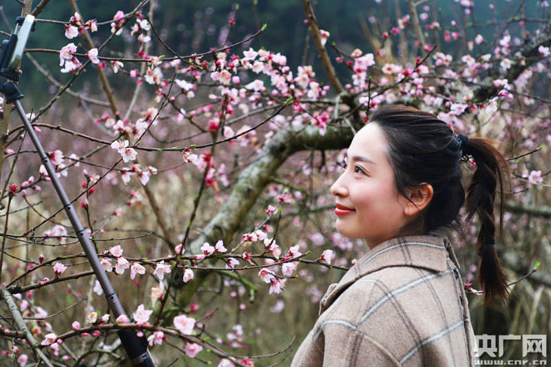 江西瑞昌:女人绽放在桃花源