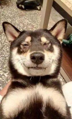 抢新玩具3柴惹爸开骂低吼变安静10分钟分尸娃棉花炸满地