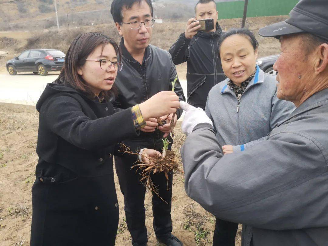 窦关村人口_窦店镇白草洼村大队