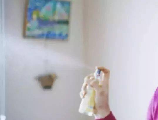 如何快速去除家里的烟味儿 245068f8fda14733b87a3571e48bb66f.jpeg