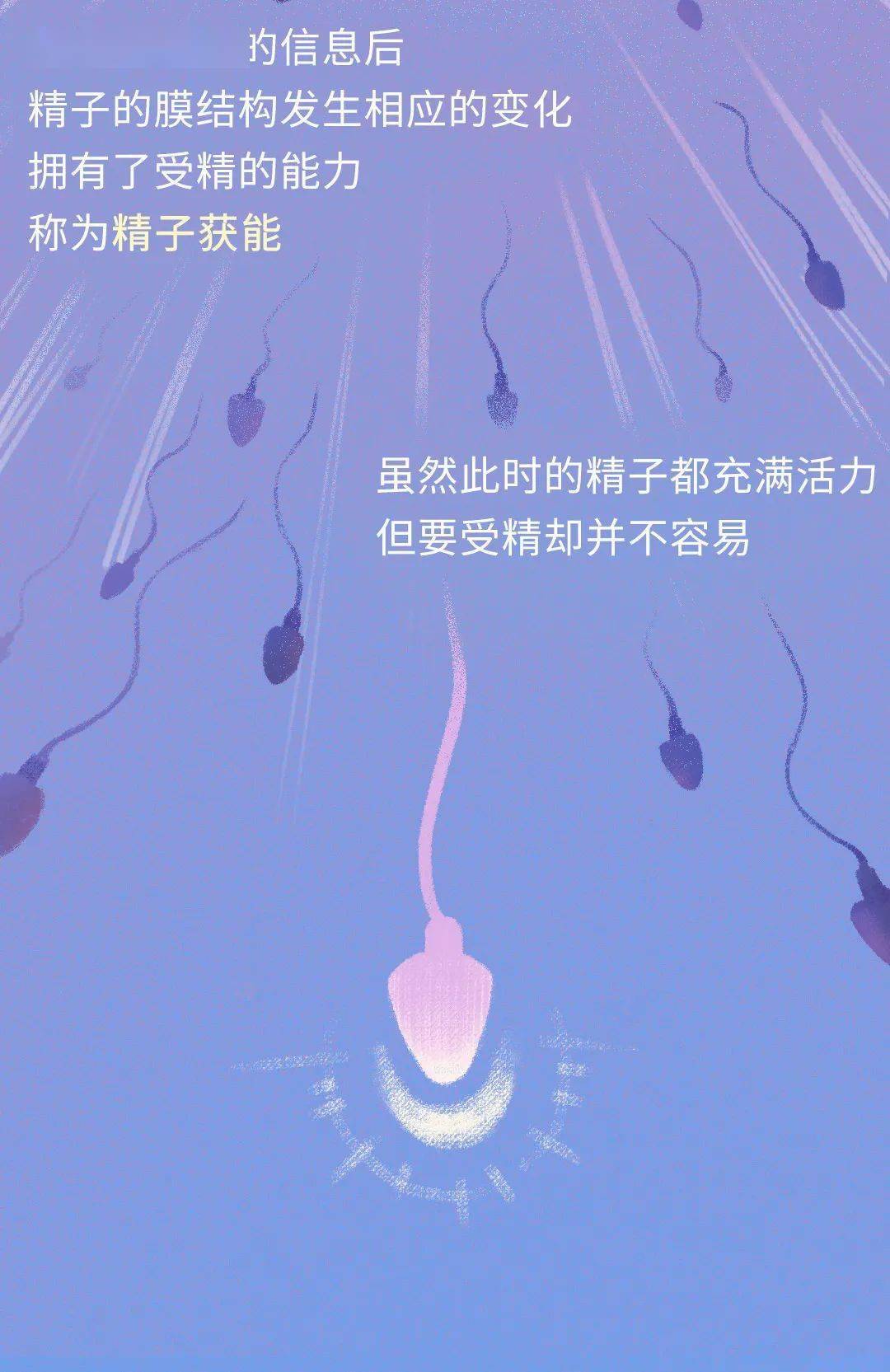 来自搜狐网