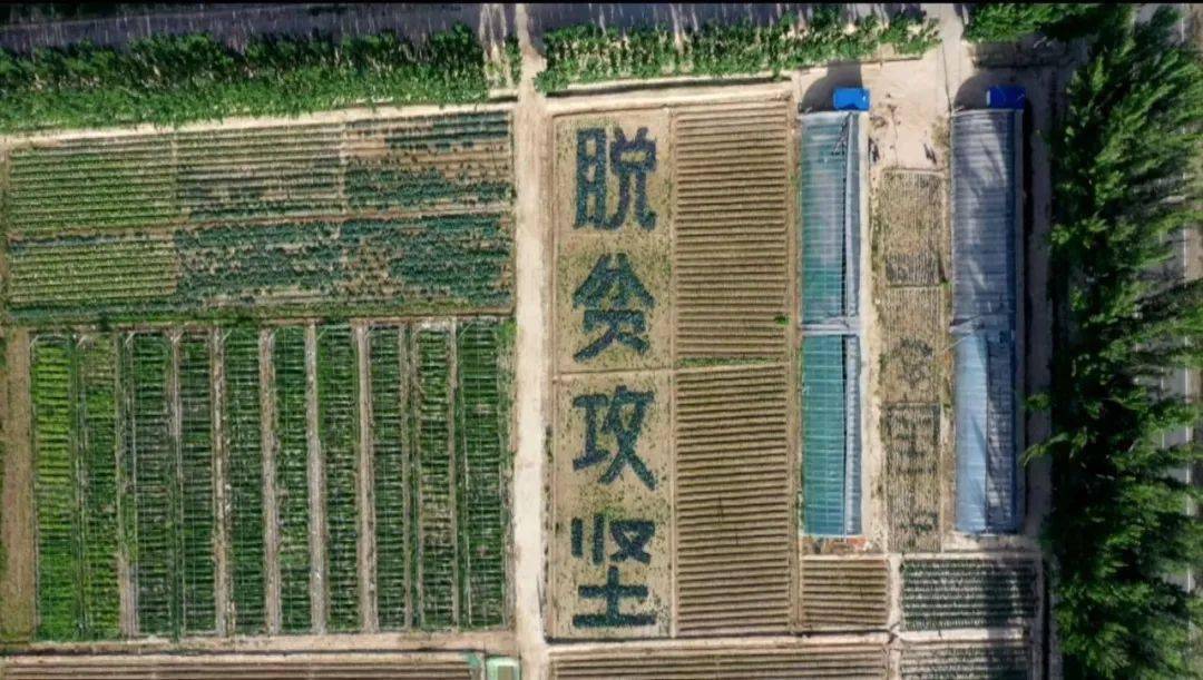 这部纪录片勾勒出新疆脱贫攻坚精神图谱