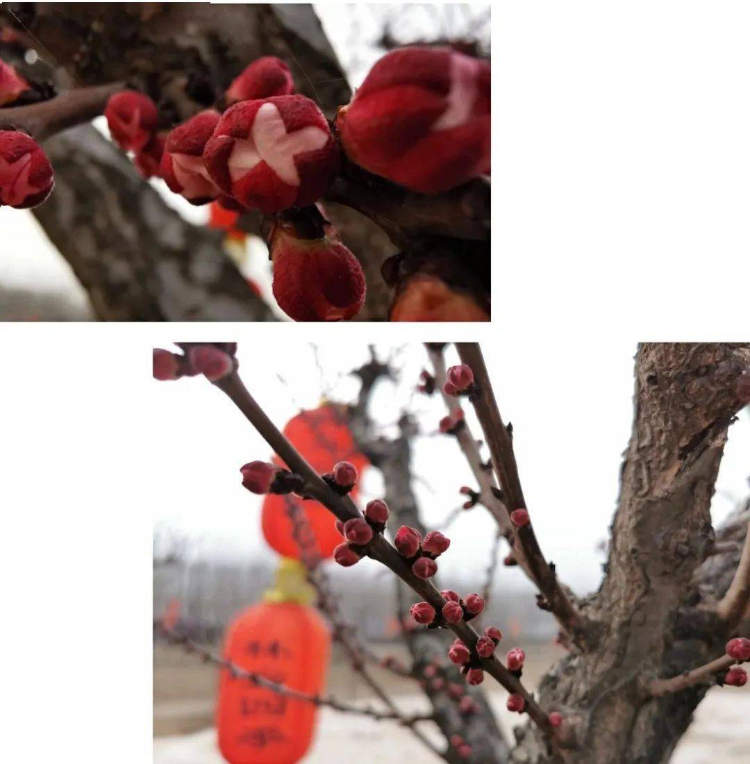 神机妙算刘伯温传说曲谱(2)