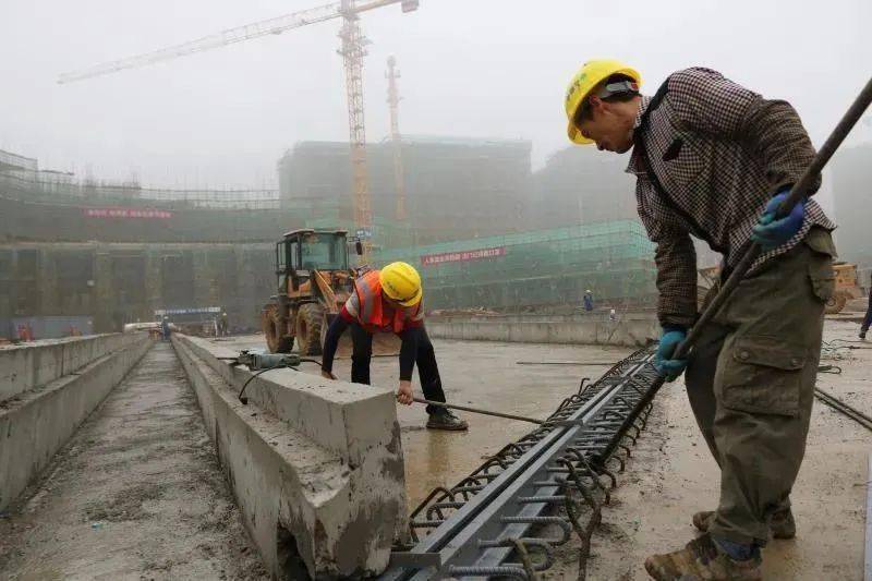 2021肇庆有多少人口_汕头离肇庆有多少公里(3)