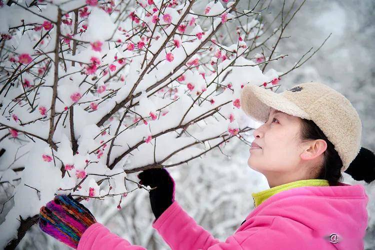 女人雪中赏梅人物图片图片