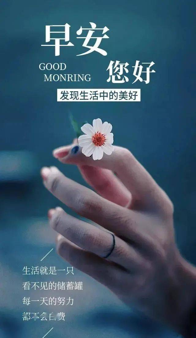 每日签到早安心语正能量语录更新