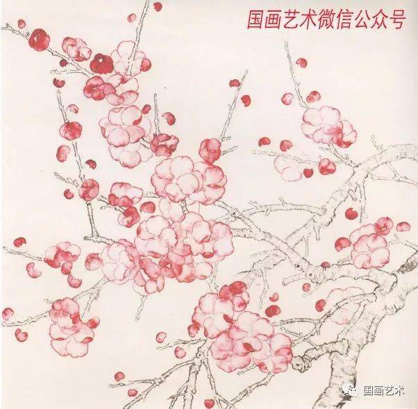 图文教程杏花的画法解析
