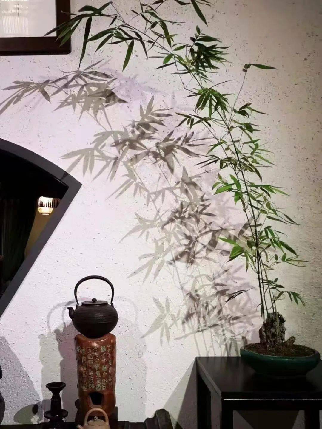 中式极品雅竹,超美超有意境!_竹子