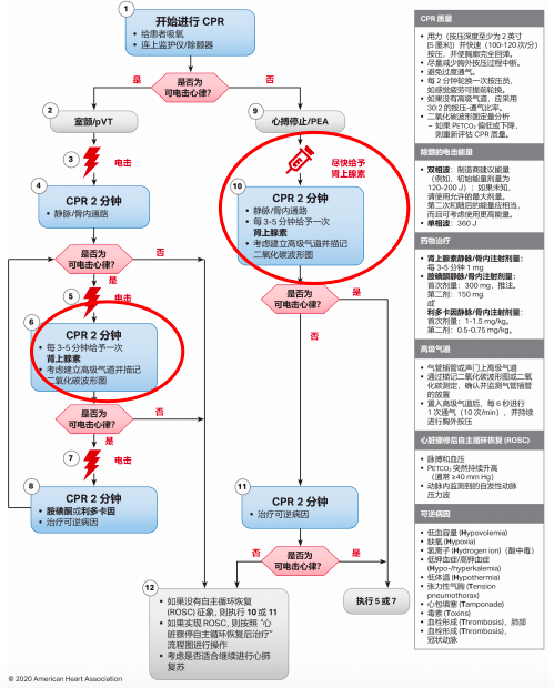 心肺复苏指南10大更新要点 一文速递 患者