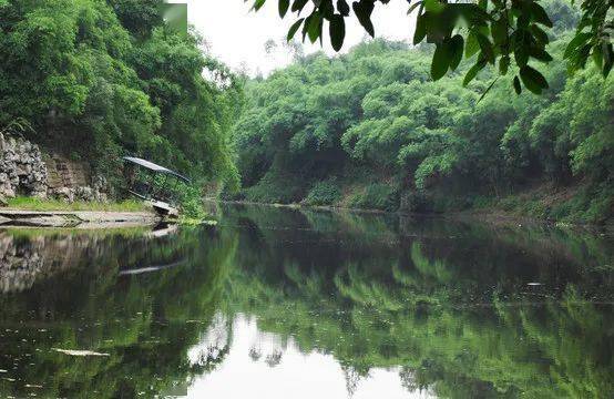 佔地面積500餘畝瀘州龍馬潭公園即將全新亮相