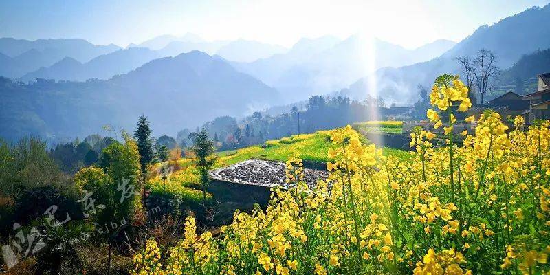 恩施一地美女县长调研乡村振兴要求唤醒乡愁记忆