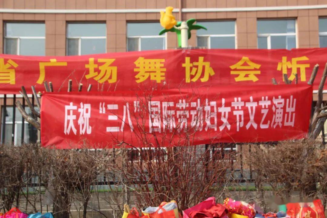 山西广场舞协会忻州分会隆重庆祝 三八 国际劳动妇女节 芦俊玲