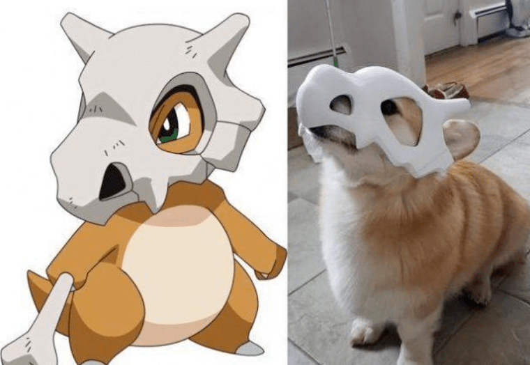 卡戴珊性感上脚yeezy450拖鞋卡拉卡拉确认将限量发售