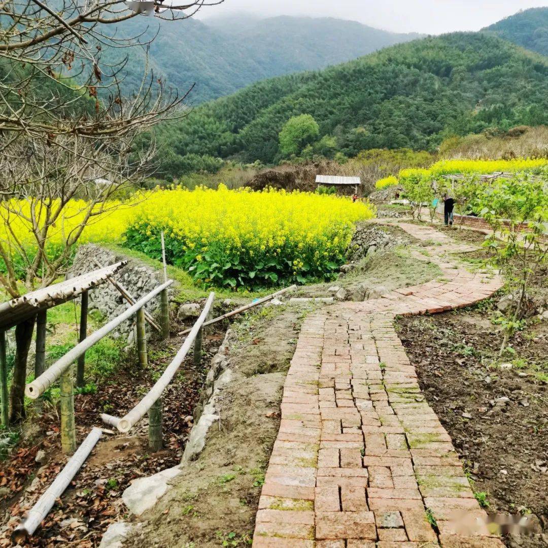 田园风丨悠悠三叠井,慢享仁洲村_乡村