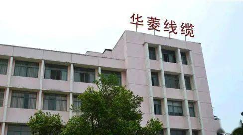 华菱线缆净利润增长率同比腰斩 供应商频繁生变