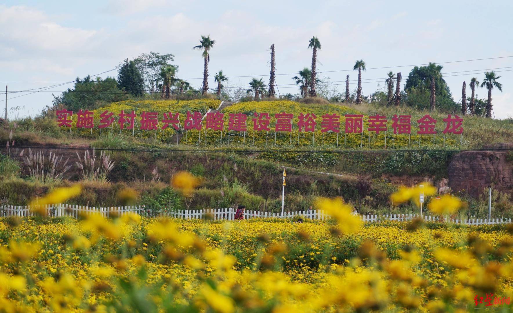 金龙镇地处金堂县东南部,位于成都,德阳两市交界处,属成都东北门户