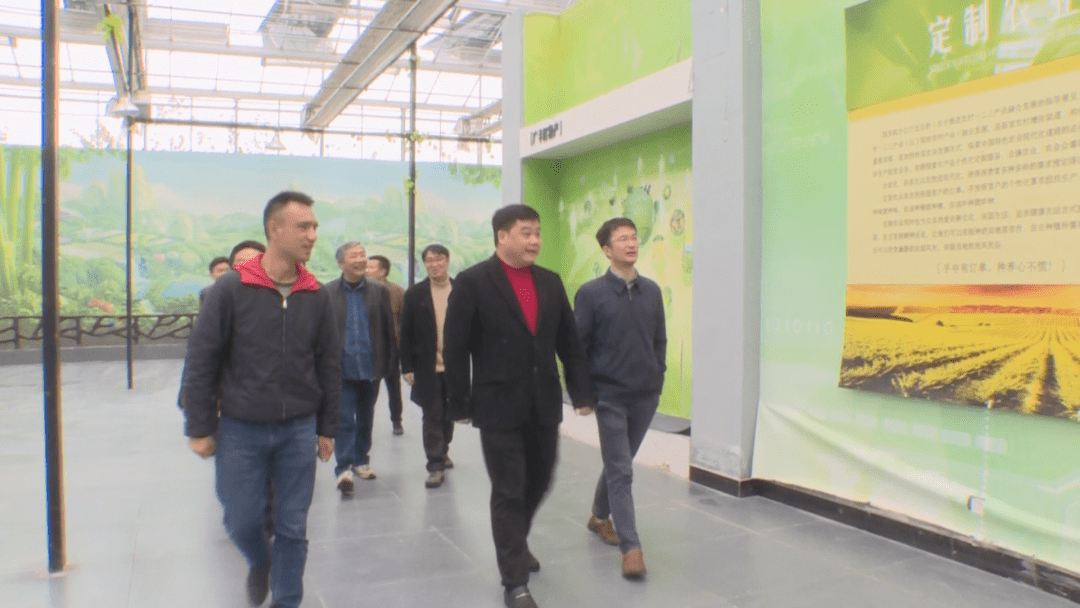 马家排行_看专家如何解读马家窑文化与三星堆文化