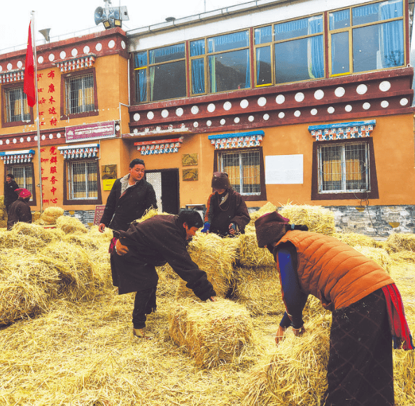 由於近期雨雪天氣頻繁,加之春季飼草料短缺,對壤塘縣中壤塘鎮畜牧業