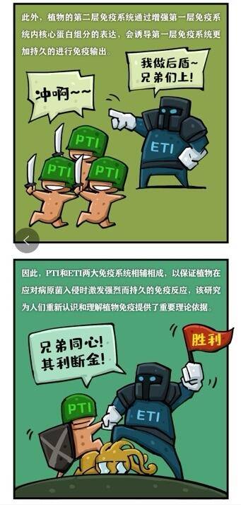 免疫|《自然》刊登上海团队成果：发现植物两大免疫系统协同抗敌
