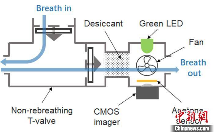 气体|之江实验室开展人工嗅味觉传感器相关研发 获阶段性成果