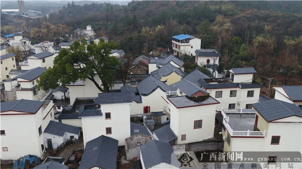 武宣县乡村人口_武宣县中学图片(3)