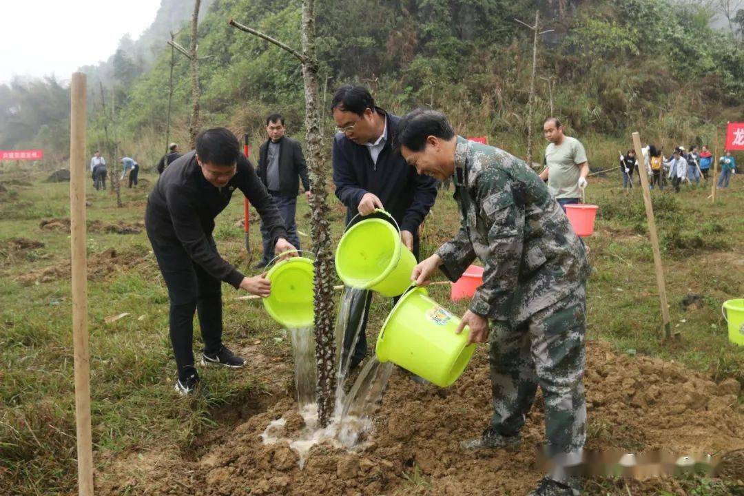 當天上午,在逐卜鄉板要村隴沙屯路口植樹活動現場呈現一派熱火朝天的