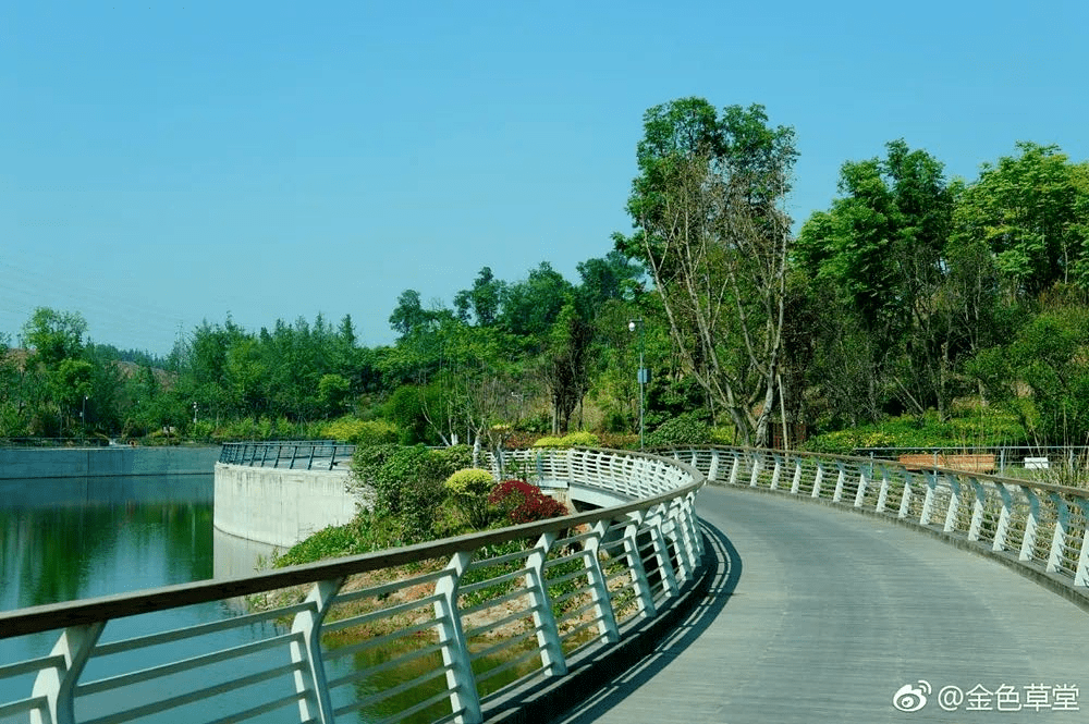 通往热搜的公路