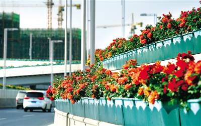 郑州创建16条景观特色道路 绿化 郑州创建16条景观特色道路 绿化