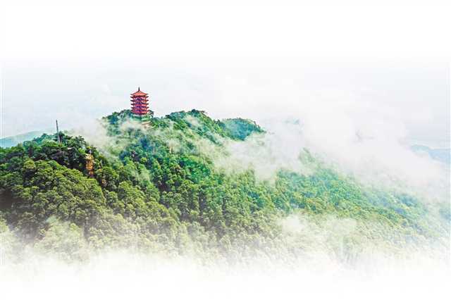 重庆“林长治”：山有人管、林有人造、树有人护、责有人担