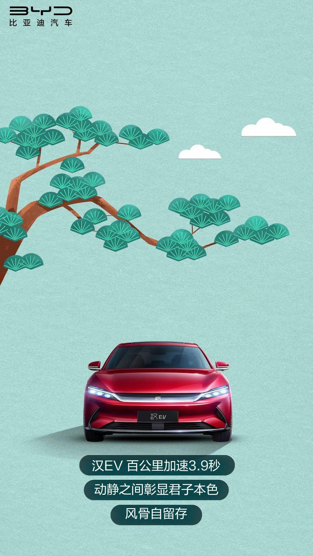 你好 树先生 柳寄思