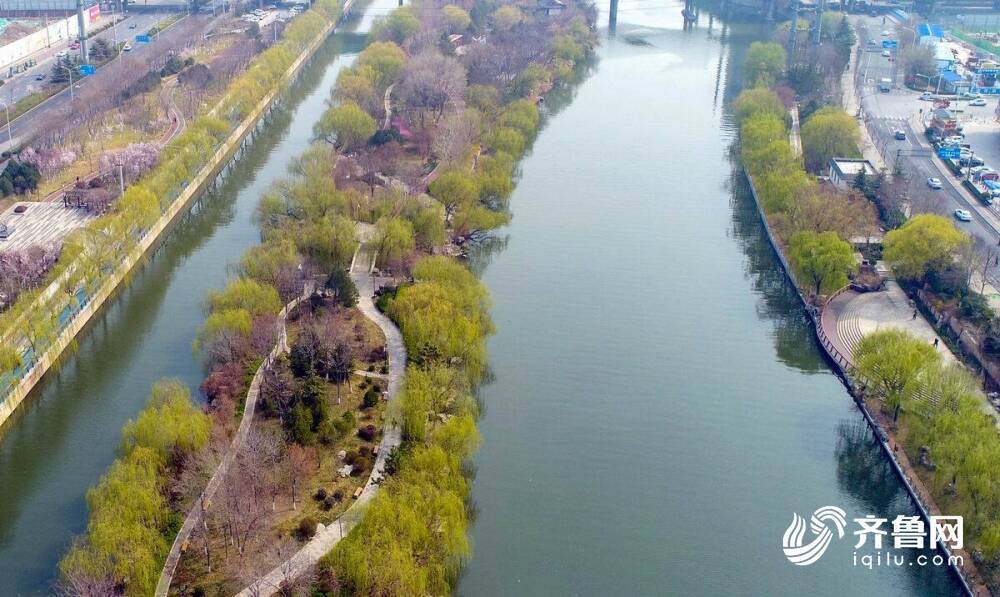 春风又绿清河畔！俯瞰济南小清河清新画卷