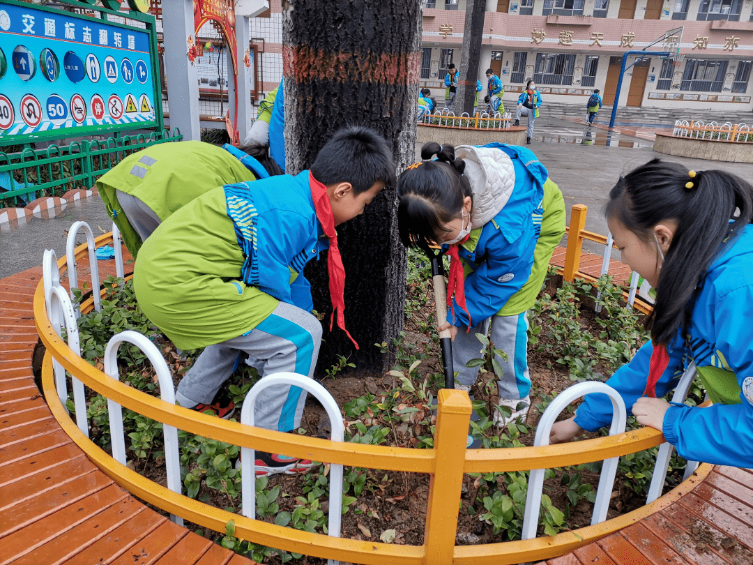 新乡市实验小学开展植树节劳动教育实践活动