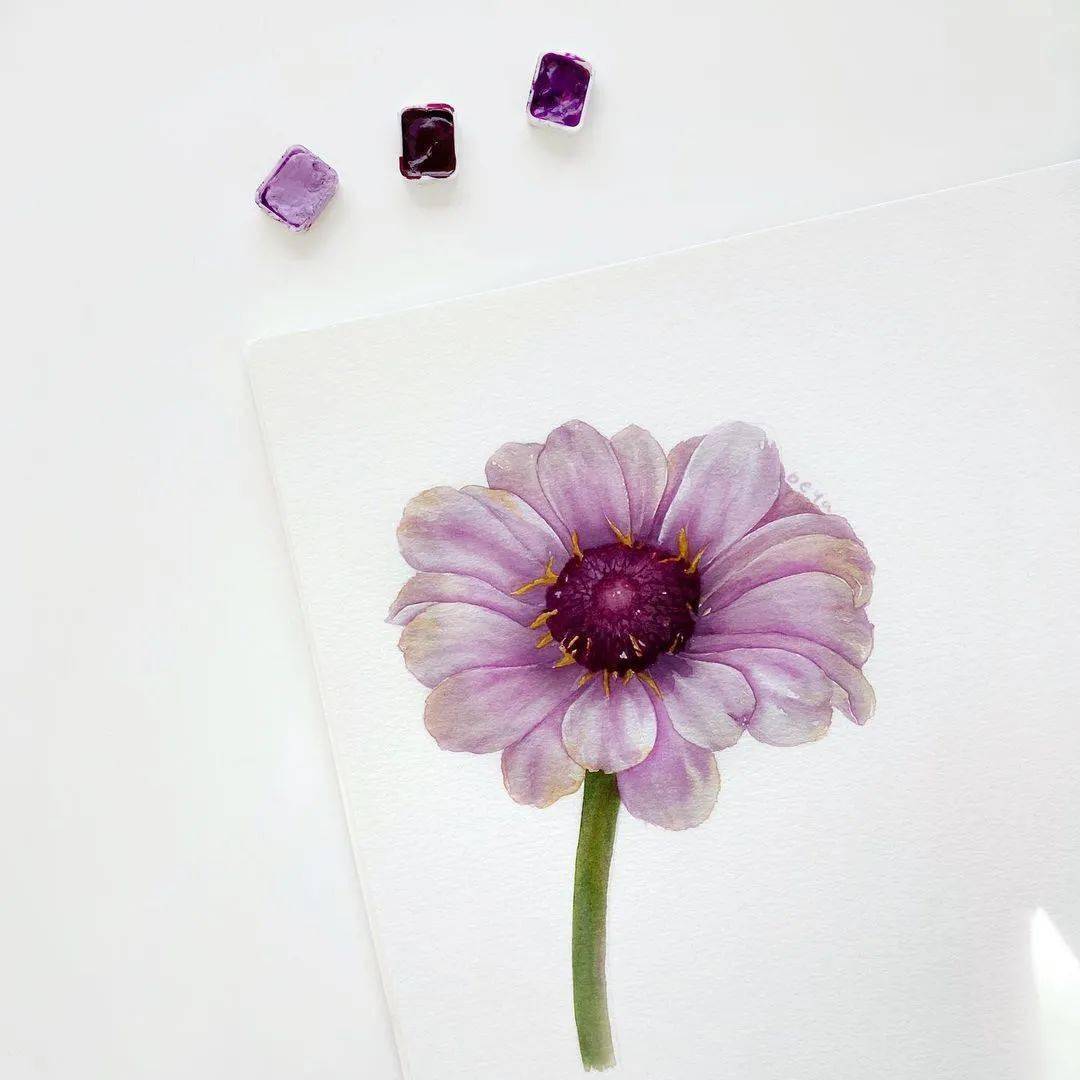 清新花朵唯美壁纸 清新花朵唯美壁纸画法