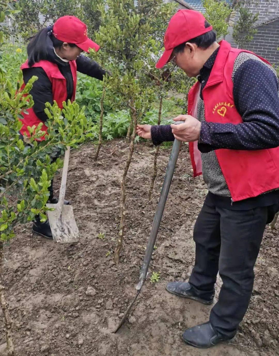 新時代文明實踐在如皋丨石莊鎮開展春季義務植樹活動