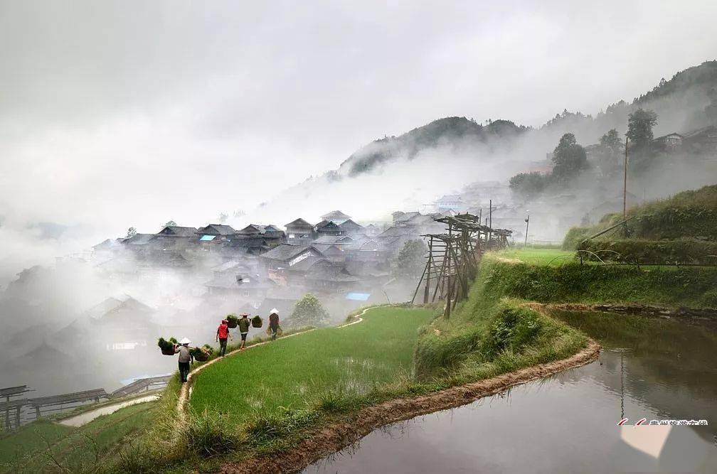 探秘苗疆腹地苗侗风情神秘从江月亮山梯田摄影团202104180424